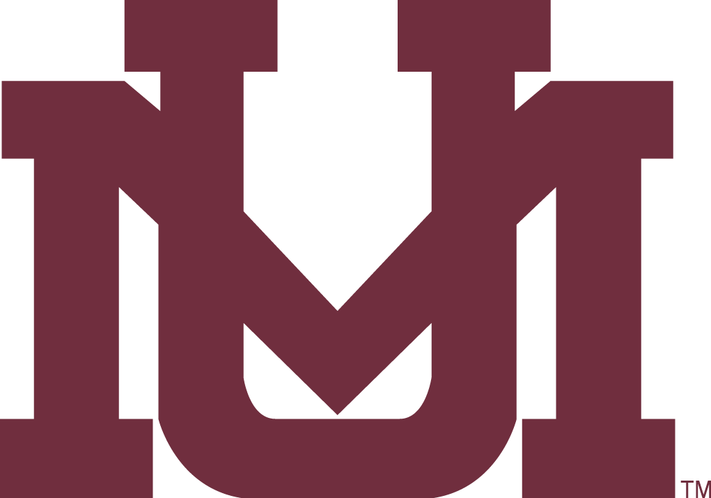 Montana Grizzlies 1996-Pres Secondary Logo v3 diy DTF decal sticker